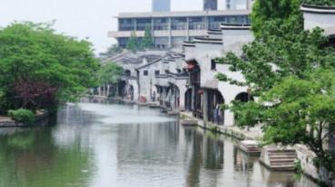 茂密丛林逃生