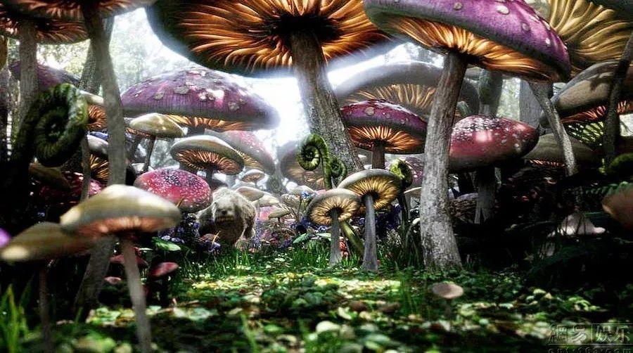 组装机械机甲暴龙2
