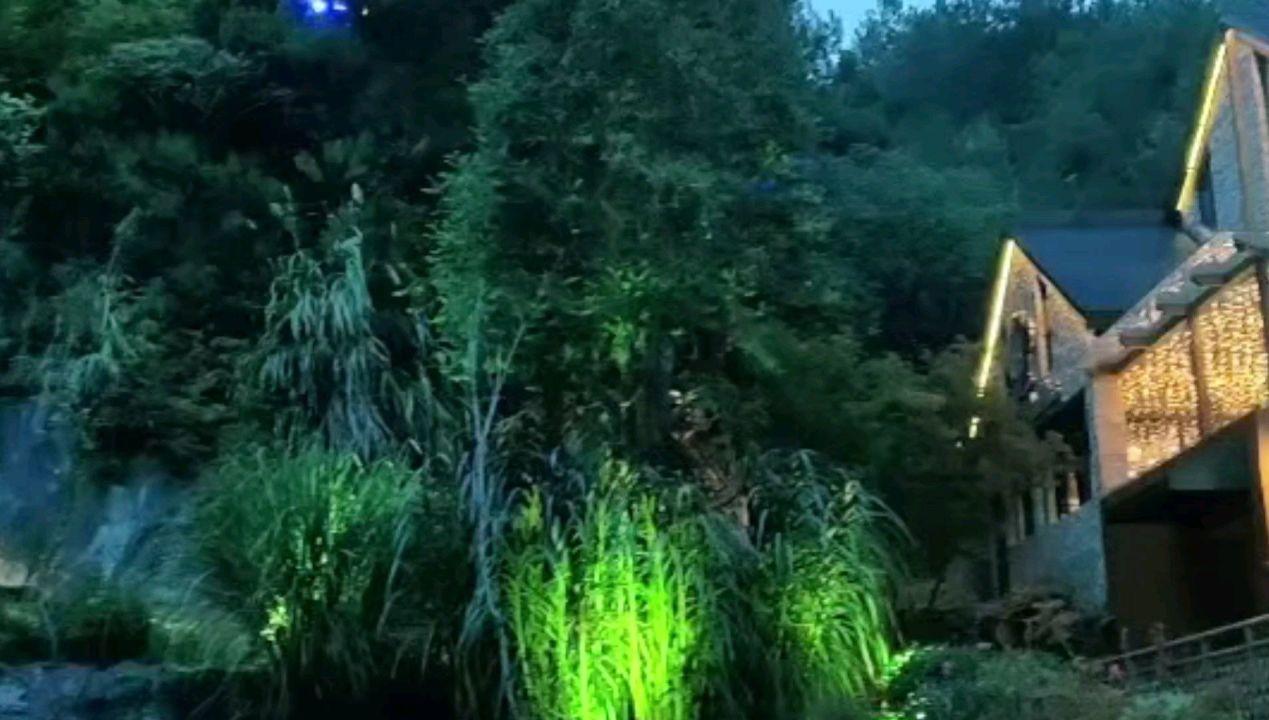 沙漠前行